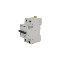 Interruptor Termomagnético Ic60N 2x1A - Curva C