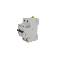 Interruptor Termomagnético para Riel Din 2P 16A Curva D 220-440V