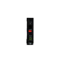 Interruptor Termomagnético 1 polo 15 A con protección falla a tierra Enchufable 10 kA 120 V