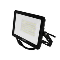 Reflector Led Essential 50W 6500K 100-277V IP65