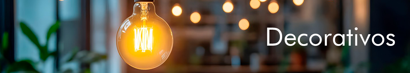 Focos Decorativos